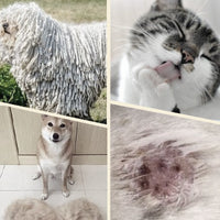 PETLUSH – Sanfte Entfilzungsbürste für Haustiere
