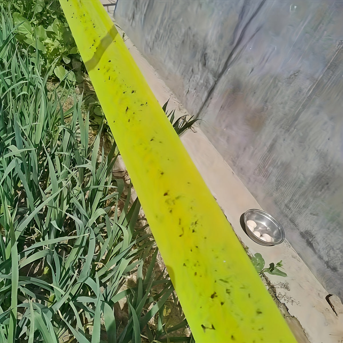 BUGSTRIP – Sticky Outdoor Insect Barrier Tape