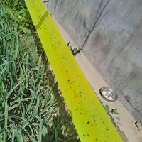 BUGSTRIP – Sticky Outdoor Insect Barrier Tape