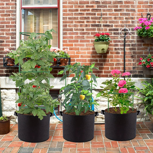 TOMABOX – Structured Tomato Growing & Large Capacity Support