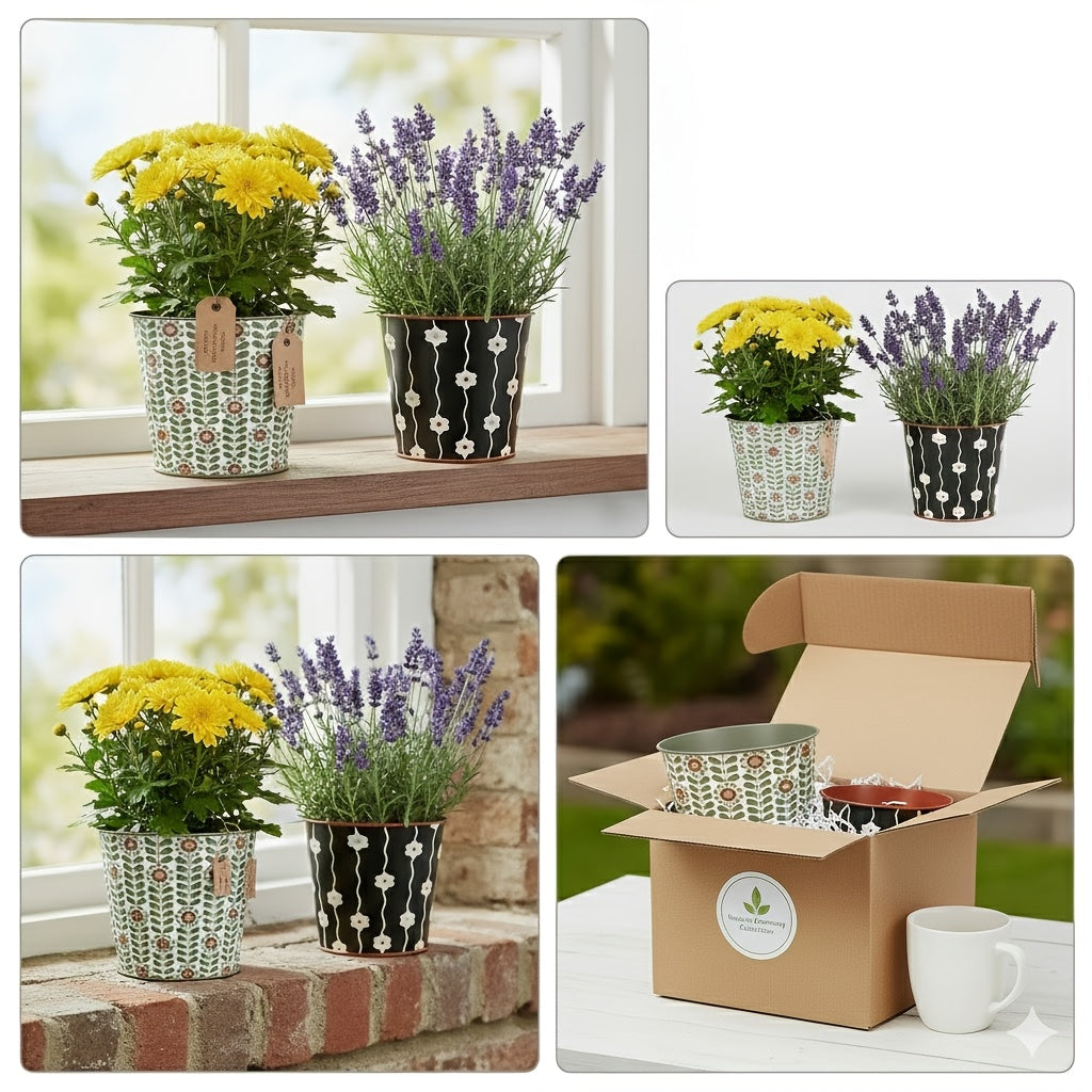 FLORALPOT – Decorative Metal Planter Set for Stylish Plant Display