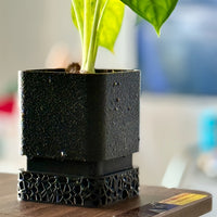 GEOPOT – Modern Geometric Planter with Drainage Tray for Clean Plant Display