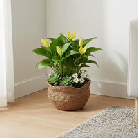 RATTANPOT – Handwoven Scandinavian Planter for Natural Boho Plant Decor