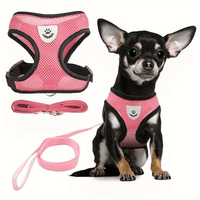 NIGHTWALK - Reflective Pet Vest with Leash for Dogs and Cats