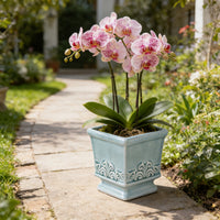 CERABOX – Vintage Ceramic Planter for Elegant Indoor Plant Display