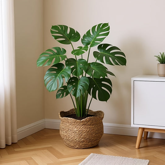 RATTANPOT – Handwoven Scandinavian Planter for Natural Boho Plant Decor