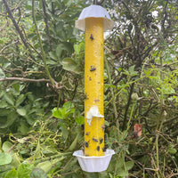 TRAPSTICK – Super Sticky Hanging Insect Trap