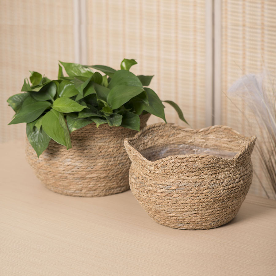 RATTANPOT – Handwoven Scandinavian Planter for Natural Boho Plant Decor