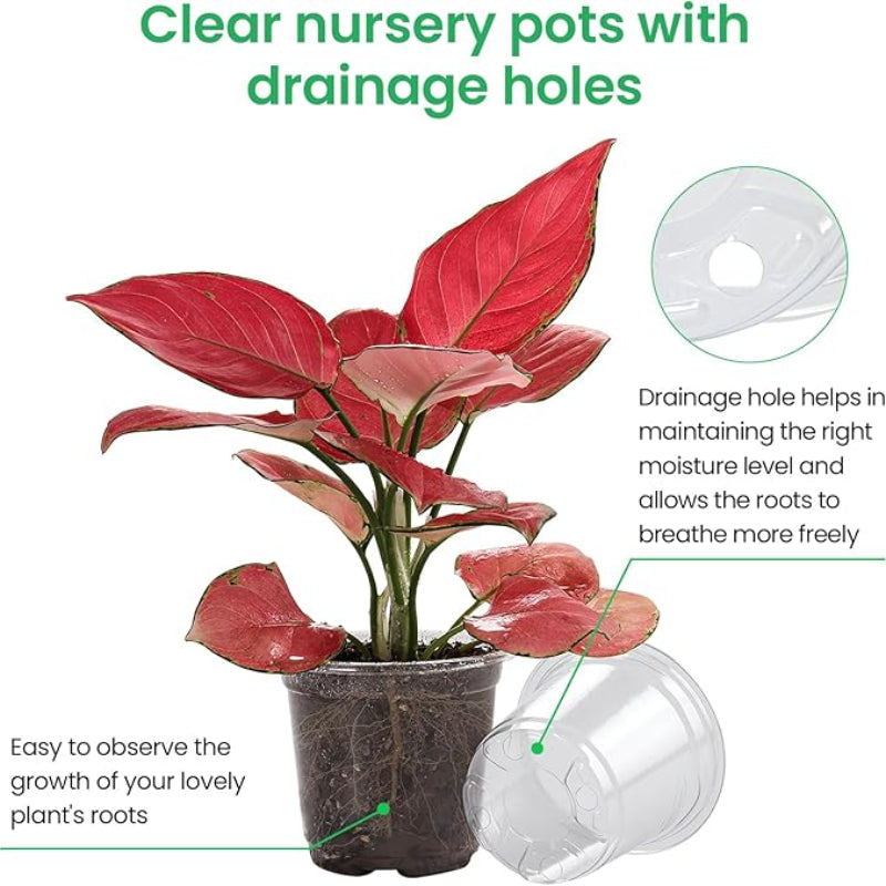 ROOTVIEW SET – 15 pack Transparent Seedling Pots for Easy Root Monitoring and Growth