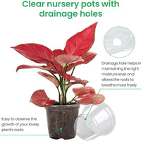 ROOTVIEW SET – 15 pack Transparent Seedling Pots for Easy Root Monitoring and Growth