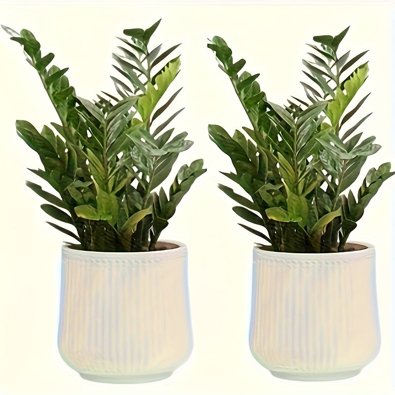 NORDILUX SET – Modern Decorative Planters for Elegant Indoor Plant Display