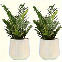 NORDILUX SET – Modern Decorative Planters for Elegant Indoor Plant Display