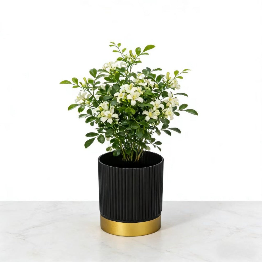 NORDIPOT – Modern Striped Planter for Elegant Indoor Plant Display