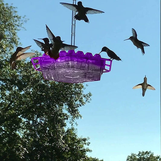 Ant Proof Hummingbird Feeder - 30 Feeding Ports for Easy Nectar Access 0
