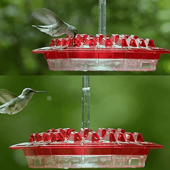 Ant Proof Hummingbird Feeder - 30 Feeding Ports for Easy Nectar Access 5