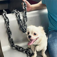 BarkBling - Unique Large Dog Collar with Durable Chain Design for Comfort 5