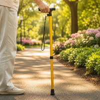 STEADYSTEP – Lightweight Walking Cane for Everyday Support