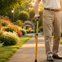 STEADYSTEP – Lightweight Walking Cane for Everyday Support