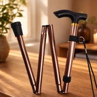 STEADYSTEP – Lightweight Walking Cane for Everyday Support