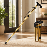 STEADYSTEP – Lightweight Walking Cane for Everyday Support