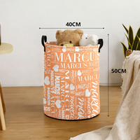 LAUNDRYPRO – Foldable Laundry Storage Solution