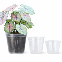 CLEARSPROUT SET – Transparent Pots for Easy Root Monitoring and Healthy Plant Growth