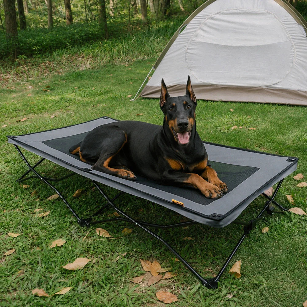 ROAMNEST – Portable Raised Pet Bed for Active Lifestyles