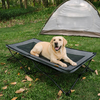 ROAMNEST – Portable Raised Pet Bed for Active Lifestyles