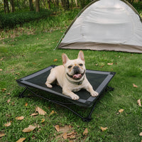 ROAMNEST – Portable Raised Pet Bed for Active Lifestyles
