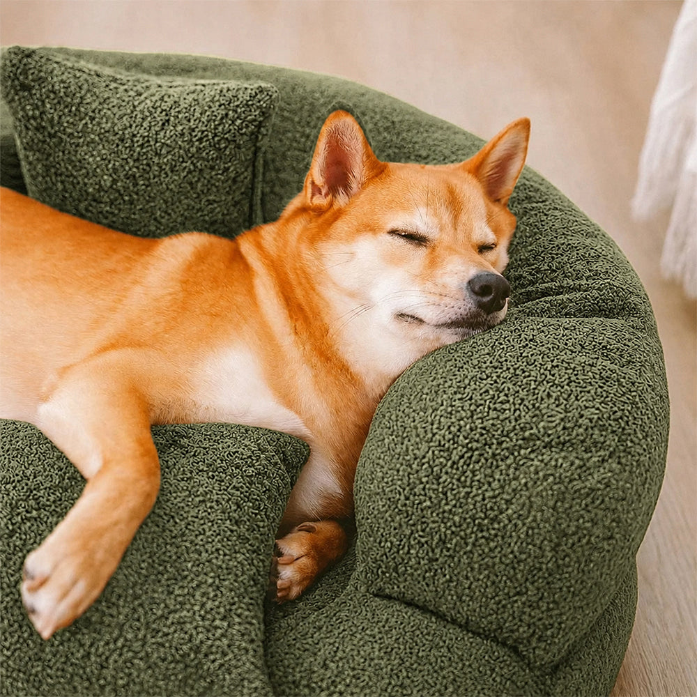 DREAMTAIL – Donut Pet Bed with Pillow for Everyday Comfort