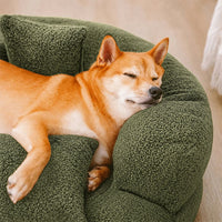 DREAMTAIL – Donut Pet Bed with Pillow for Everyday Comfort