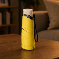 RAINLUX – Mini Travel Umbrella for Everyday Weather Protection