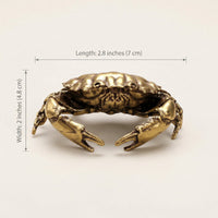 Coastal Charm Brass Crab Figurine - Elegant Home Decor Accent for Coastal Living 6