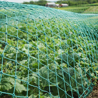 DEERBLOCK – Protective Garden Netting for Birds and Wildlife Control