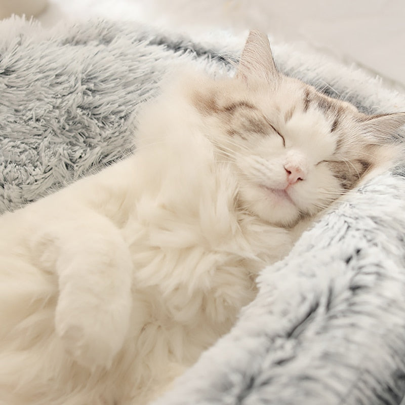 Cozy Cat Bed - Semi-Enclosed Cat Cave with Plush Filling for Ultimate Comfort 1
