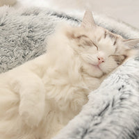Cozy Cat Bed - Semi-Enclosed Cat Cave with Plush Filling for Ultimate Comfort 1