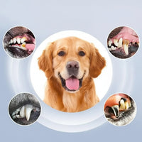 DentoraSonic - Ultrasonic Dental Care Device for Pets with 5 Cleaning Levels 3