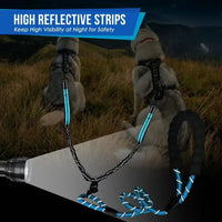 Dual Dog Leash with Reflective Design, 360° Swivel & Shock Absorption 2