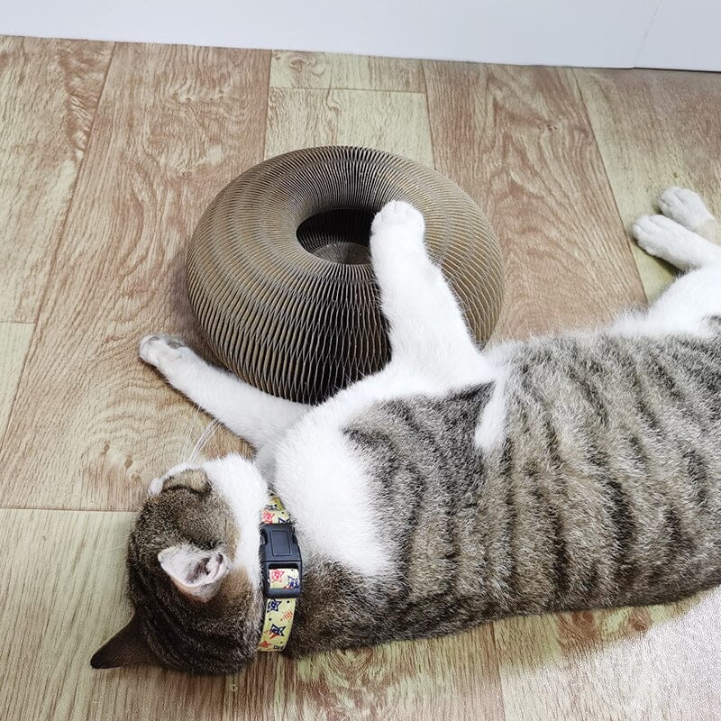 Eco-Friendly Cat Toy - Durable Natural Hunting Simulator for Active Cats 1