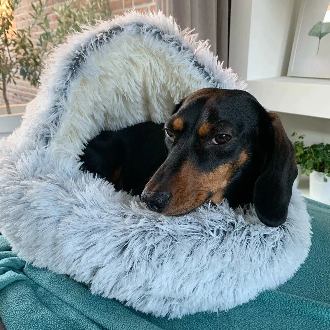 FurHaven Orthopedic Dog Bed - Large Cozy Support for Joint Relief 3
