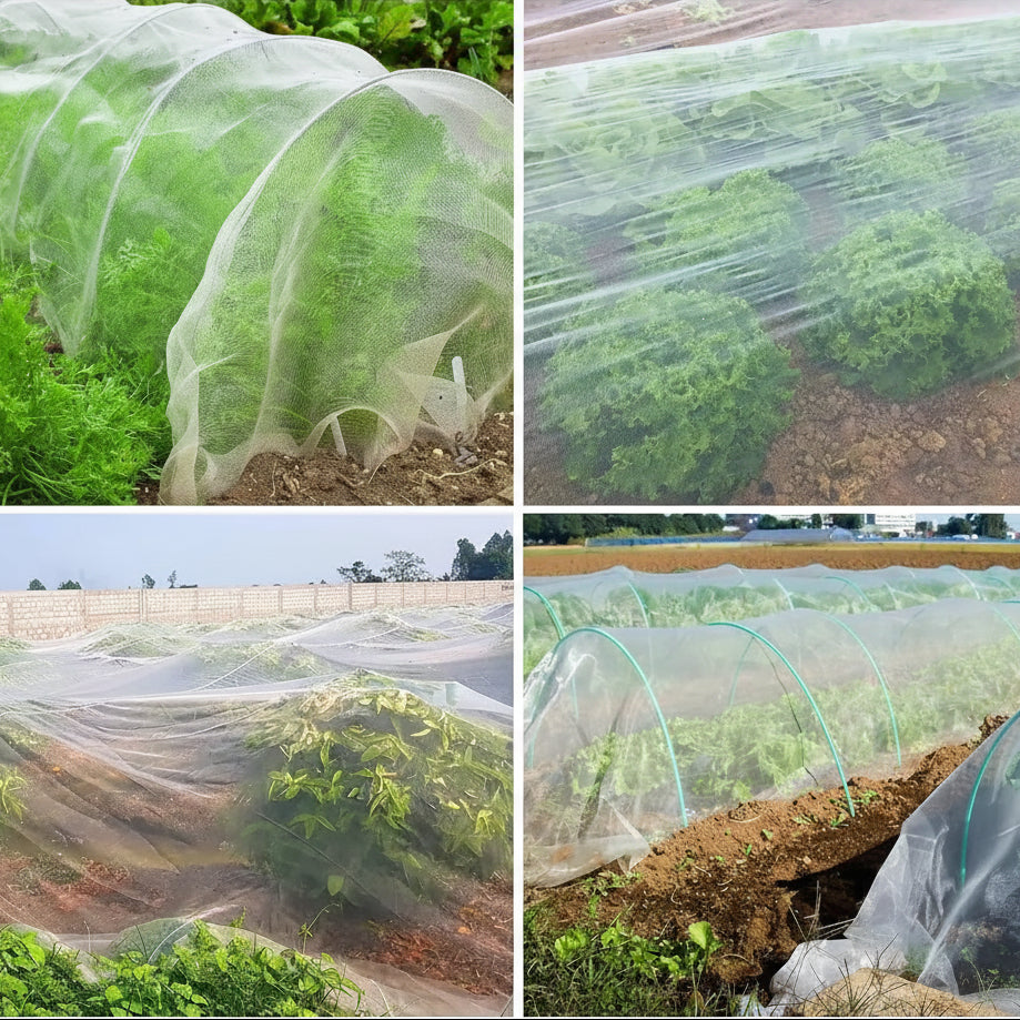 GARDIVIA Insect Net - High-Density Polyethylene Bug Protection for Vegetables 5