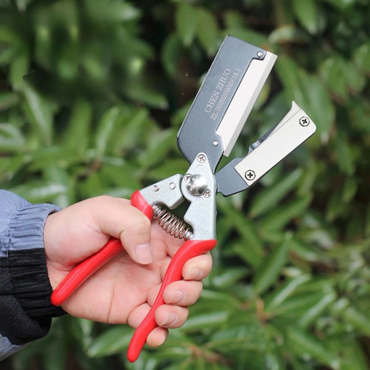 Graftorio - Professional Grafting Scissors for Precise Tree Care & Optimal Grafting 0