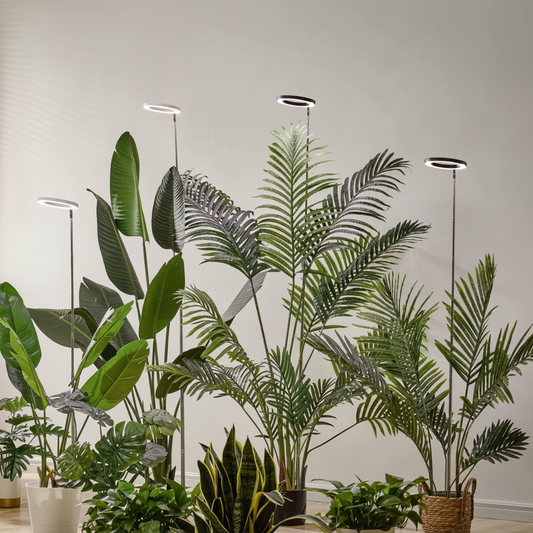 Indoor Grow Lights - Full Spectrum LED Grow Light with Adjustable Height & Timer 0