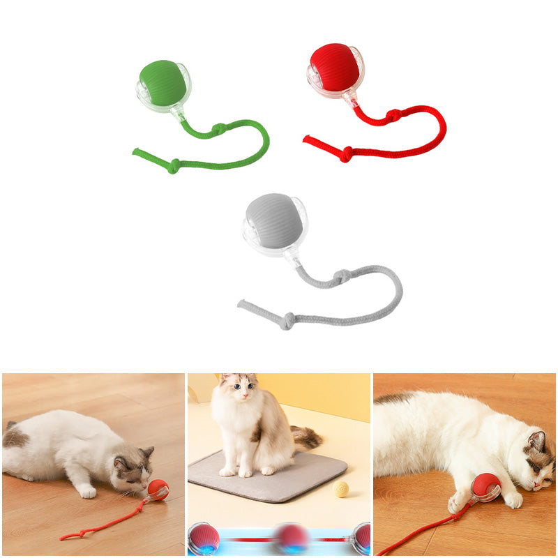 Interactive Cat Toy Ball - Multiple Modes for Endless Fun, Durable PC & Silicone 1