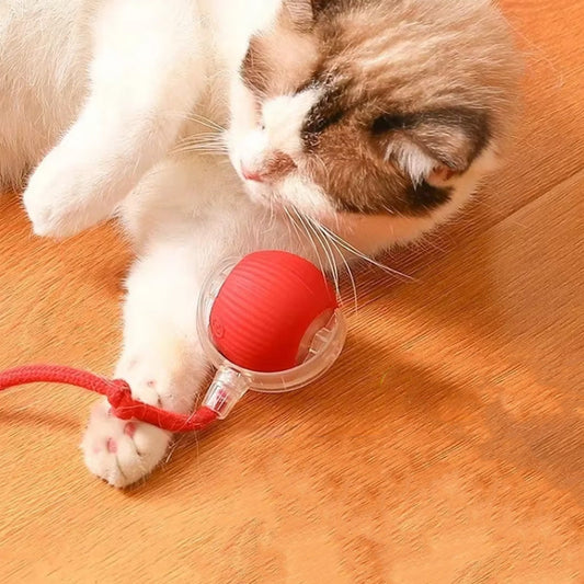 Interactive Cat Toy Ball - Multiple Modes for Endless Fun, Durable PC & Silicone 2