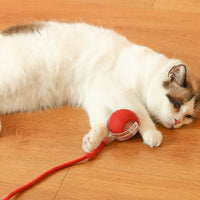 Interactive Cat Toy Ball - Multiple Modes for Endless Fun, Durable PC & Silicone 3