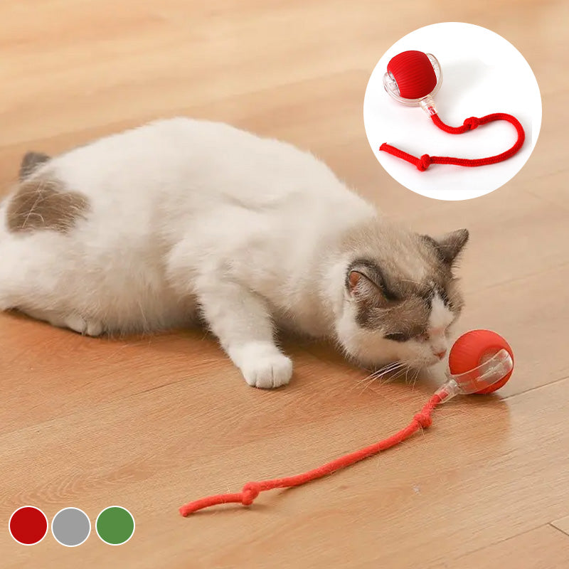 Interactive Cat Toy Ball - Multiple Modes for Endless Fun, Durable PC & Silicone 6