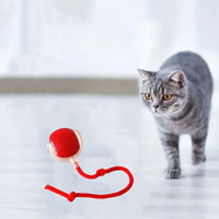 Interactive Cat Toy Ball - Multiple Modes for Endless Fun, Durable PC & Silicone 7