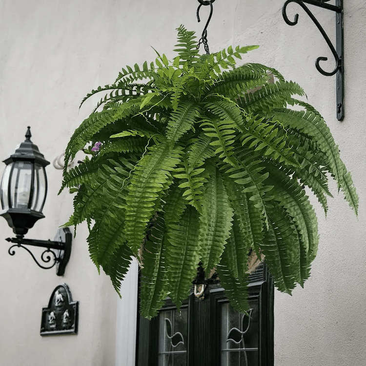Lifelike Artificial Boston Fern - UV-Resistant Faux Plants for Outdoor Décor 1