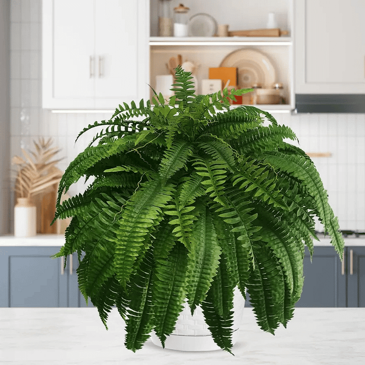 Lifelike Artificial Boston Fern - UV-Resistant Faux Plants for Outdoor Décor 3